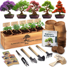 Load image into Gallery viewer, Bonsai Tree Kit for Beginners – 5X Unique Japanese Bonzai Trees | Complete Indoor Bonsai Starter Kit for Growing Bonsai Plants with Tools &amp; Planters – DIY Gardening Gifts for Women &amp; Men
