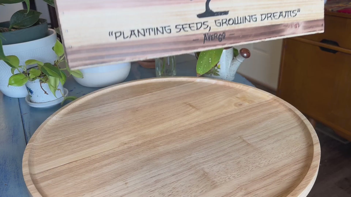 Unboxing and planting the NORU Bonsai Growing Kit