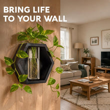 Load image into Gallery viewer, Wall Plant Decor (1-Pack), Black Wood Indoor Wall Planter | Propagation Wall Hanging with Removable Glass Vase for Cuttings, Fresh Herbs, Flowers and Dried Florals
